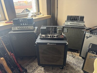 Tausche / Verkaufe Ampeg Collection