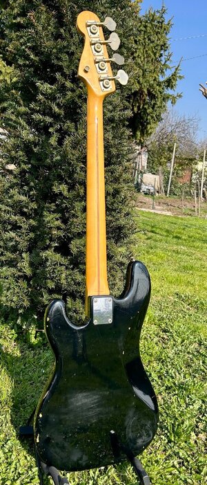 8359350_1772121721 (1).jpg