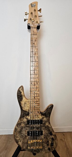 Auch Tausch! Fodera Emperor Standard Special 5 Music Force (Korea Import)