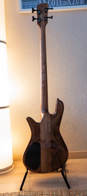 Spector 02.jpg