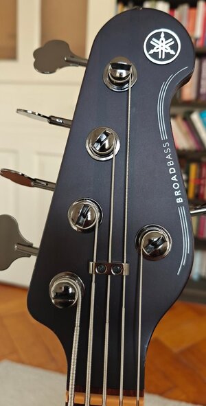 BB735-Headstock1.jpg