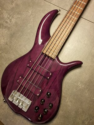 Fbass BN5