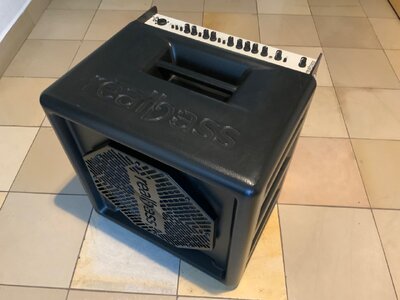 Combo Amp „Real Bass Single“ von ANS Music (Absolute Natural Sound)