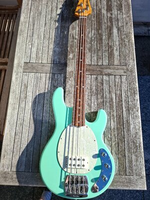 Musicman Stingray Classic 4 Mint birdseye Maple