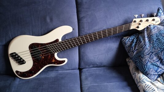 Dingwall Custom Super P 5