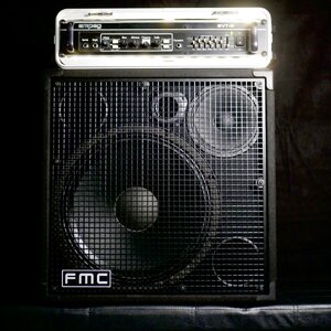 FMC 115 HP Bassbox, 500W, 8 Ohm, Top-Zustand, Baujahr 2024