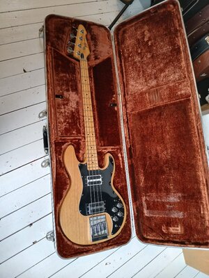 Peavey T40 und seine kleine Schwester