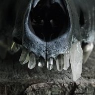 movntainkvlt