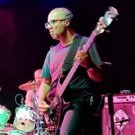 Fourstrings_NL