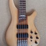 Austrobass