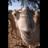 thorsten_neu_12937
