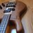 NBL@Bass