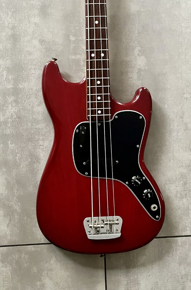 Fender musicmaster top bass case