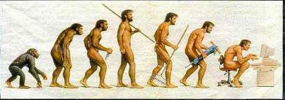 evolution1.jpg