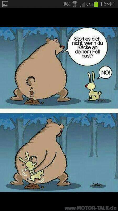 baer-hase-8088377029321954060.jpg