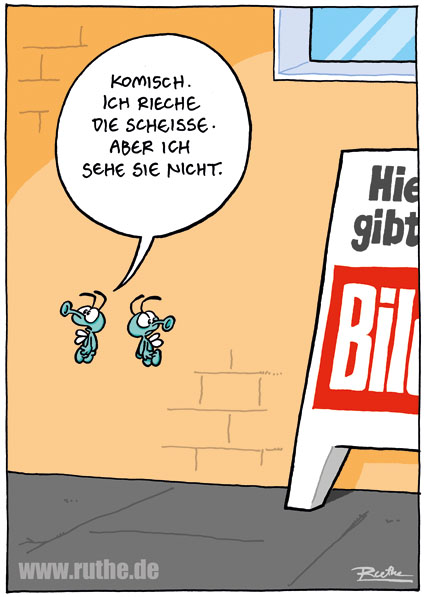strip_1511.jpg