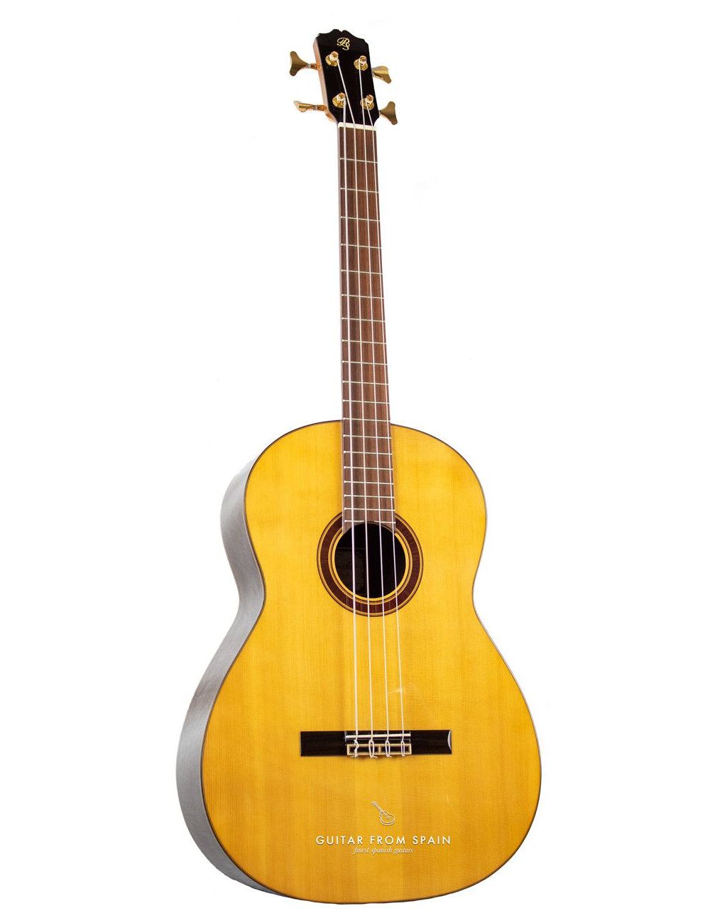 www.guitarfromspain.com