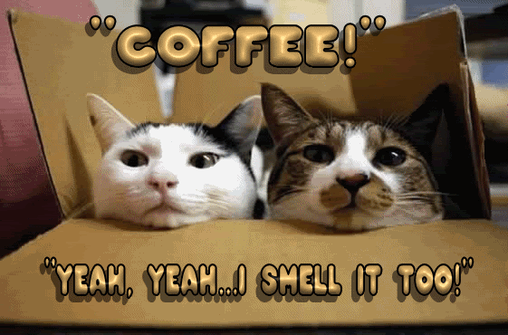 animaatjes-koffie-77760.gif