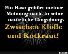 e927816c89725e980cfb91ab005d513f.jpg