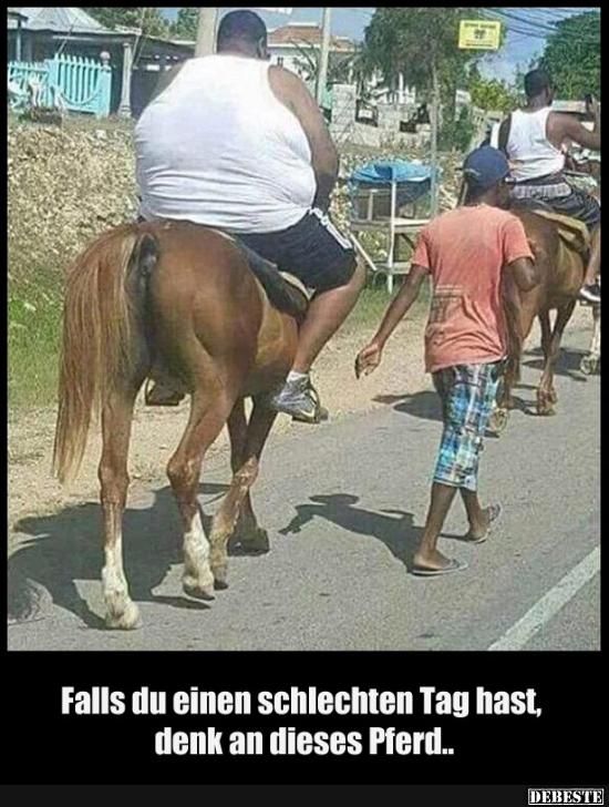aaa9130d2363398d5da7c31abb592792--horse-meme-horse-humor.jpg