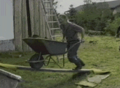 1721238510293-gif.54663