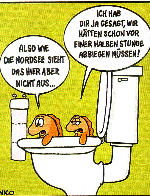 bilder12.jpg