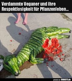 Verdammte Veganer und ihre  Respektlosigkeit für..