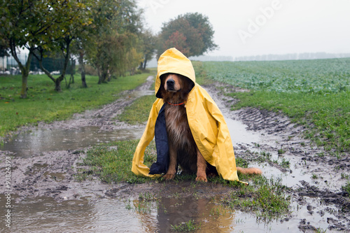 500_F_93824393_LJesOvMGzNqLBejgpPgyZy3OFSGuoSh0.jpg