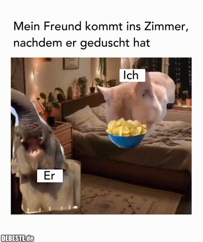 debeste.de