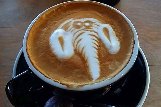 flat-white.jpg