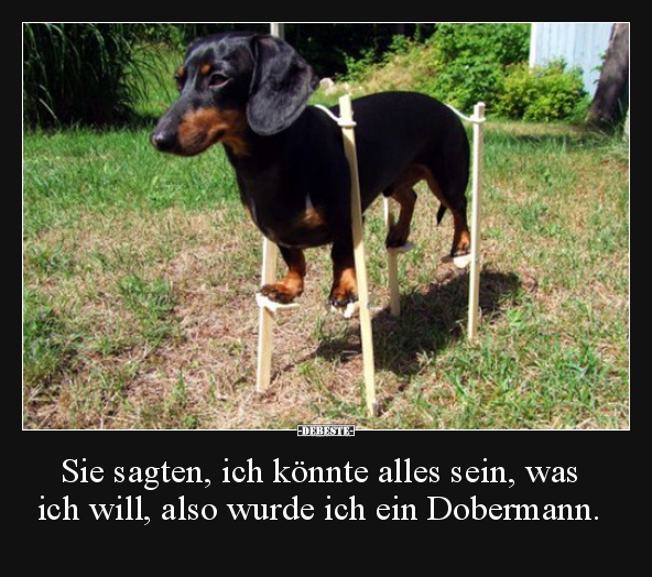 b25a68eca752f79c6a61970e825f0e4d8787.jpg