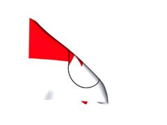 Franken_240-animierte-flagge-gifs.gif