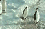 animiertes-humor-witz-bild-0042