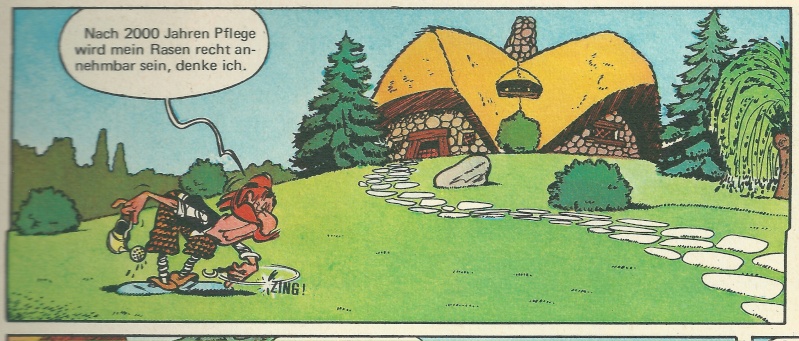 rasenm10.jpg