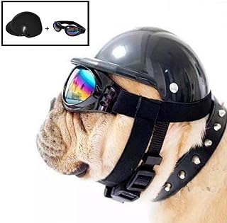 Bildergebnis für hund mit helm