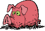 animiertes-schwein-bild-0033