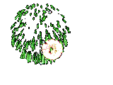 animiertes-feuerwerk-bild-0065
