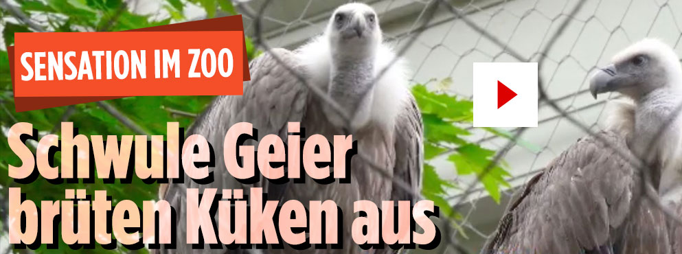 1.bild.jpg