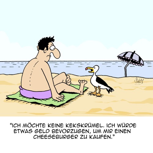 am_strand_2329295.jpg