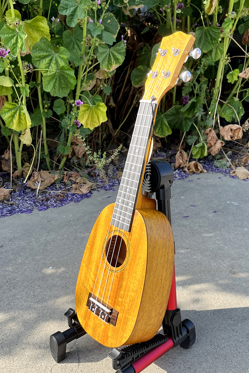 www.aiersiguitar.com