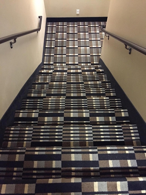 37381896fr.jpg