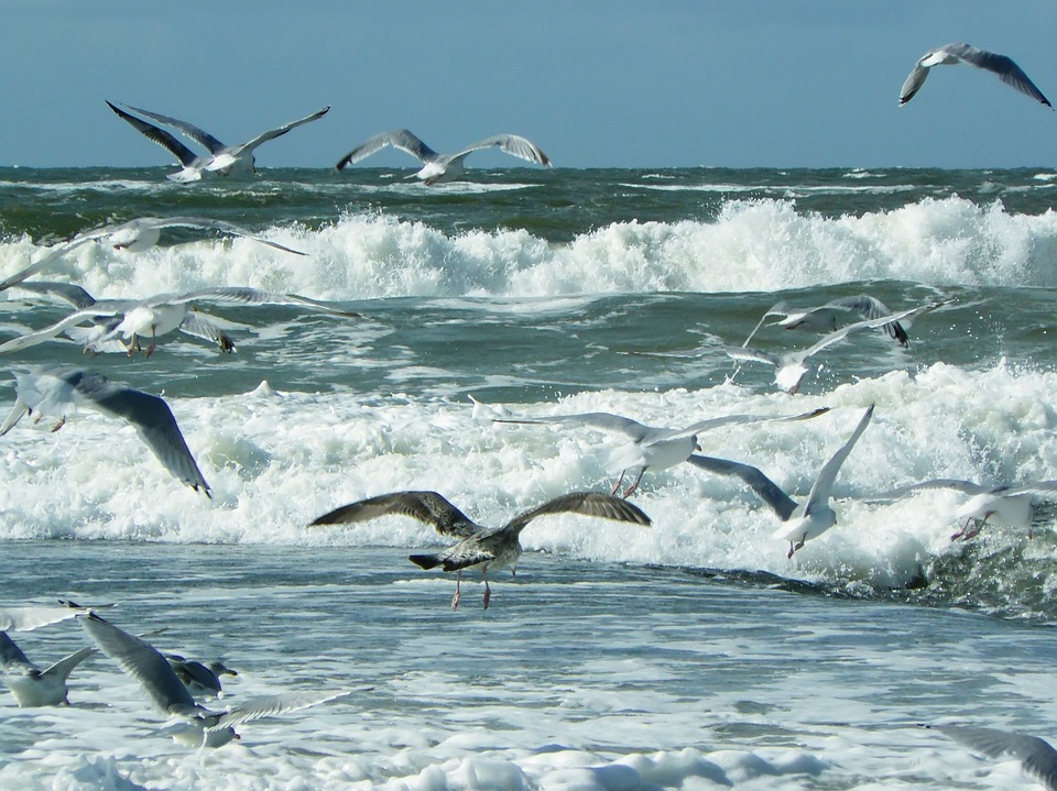 sea-250527_960_720.jpg