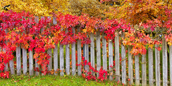garten-im-herbst-gross.jpg