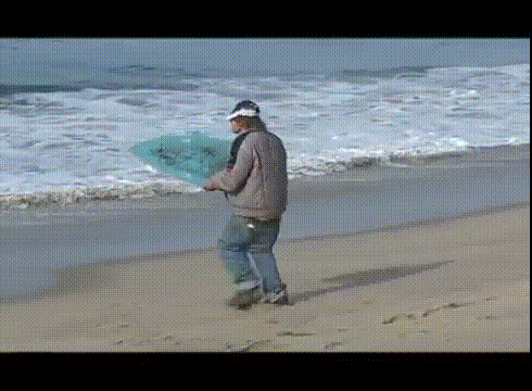 DX23dxS.gif