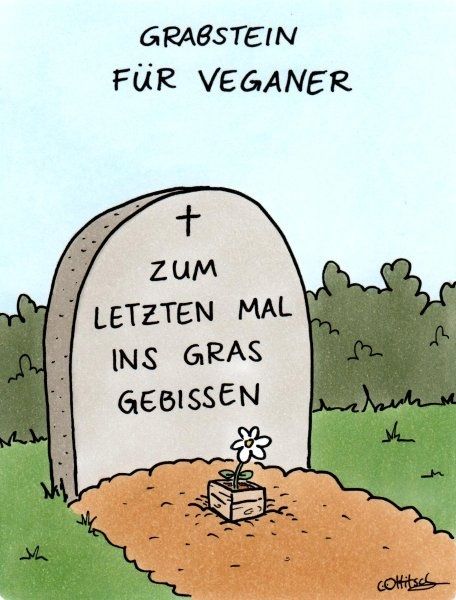 3387565327e7f35474c93330eb707a6d--funny-cartoons-satire.jpg