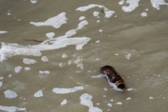 werfen-sie-die-bierflasche-im-meer-weg-thailand-106194940.jpg