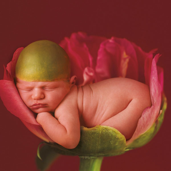 Ann-Geddes-baby-photo.jpg