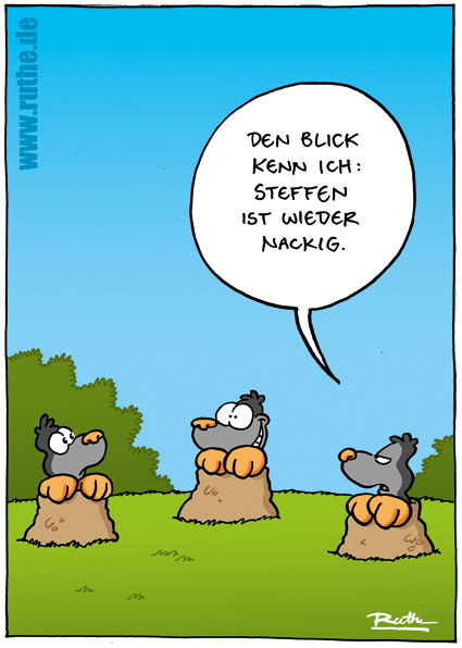 ruthe.de • Suche