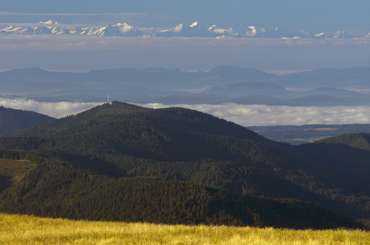 alpenblick-vom-belchen.jpg