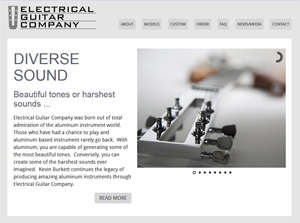 www.electricalguitarcompany.com